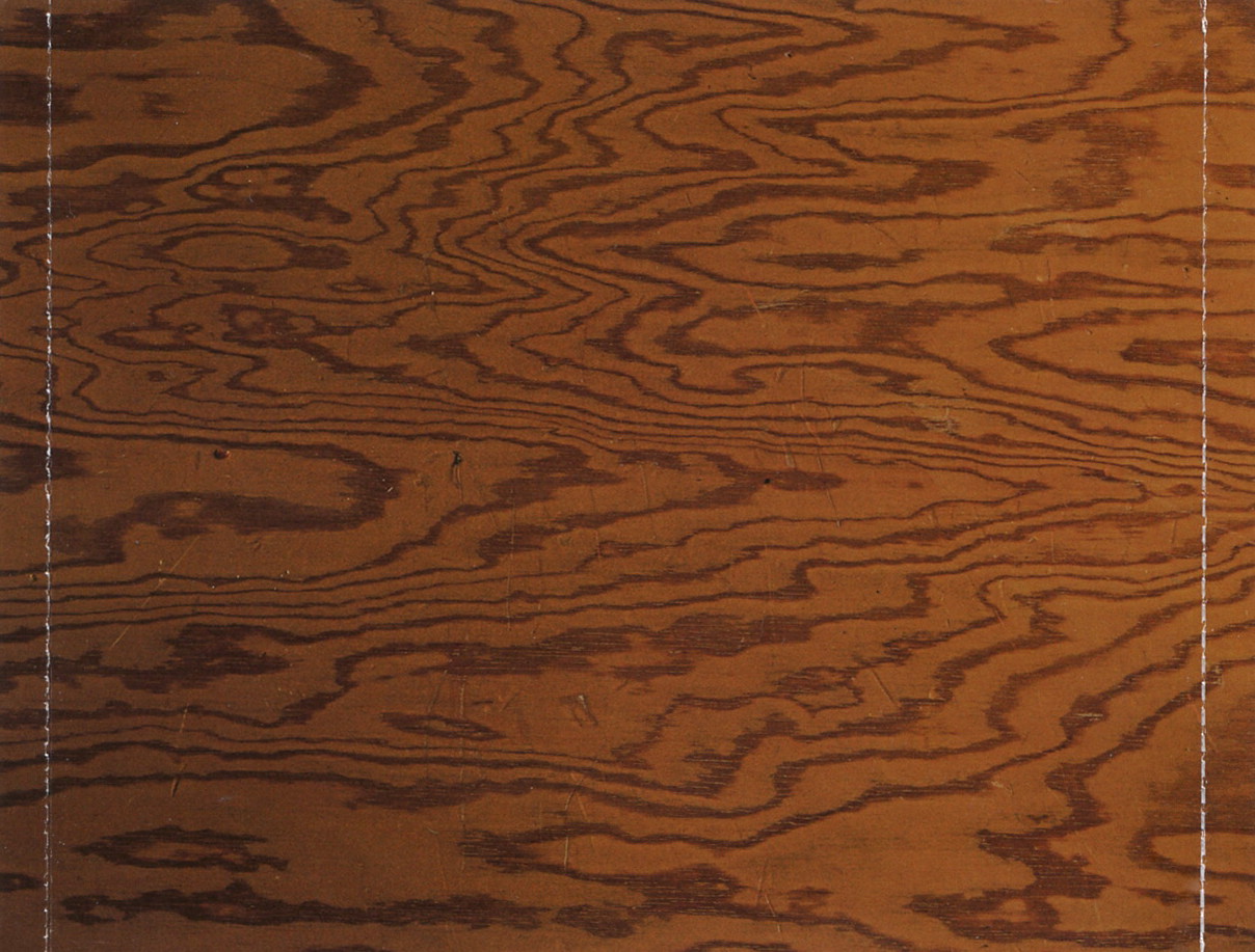 Europe  Bag Of Bones : Back + Inlay EU